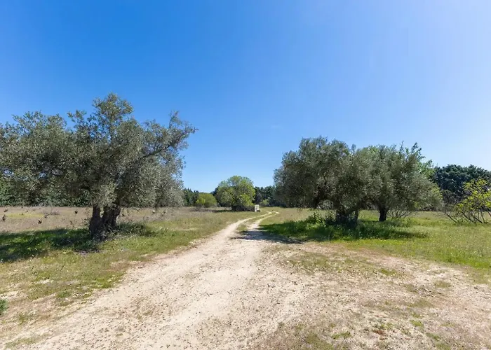 Finca El Palomar De La Vina